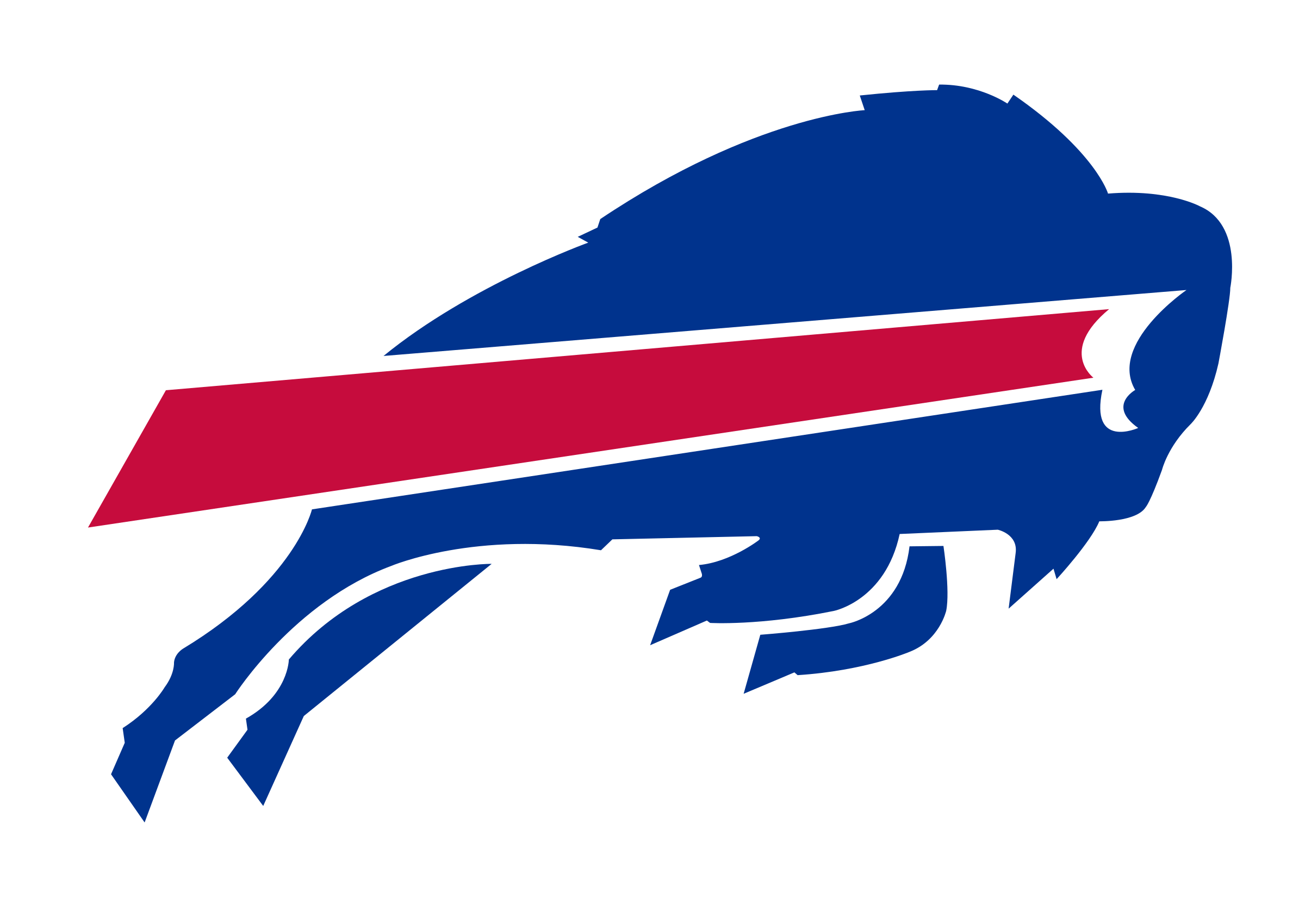 Buffalo Bills - Sportmania.hu