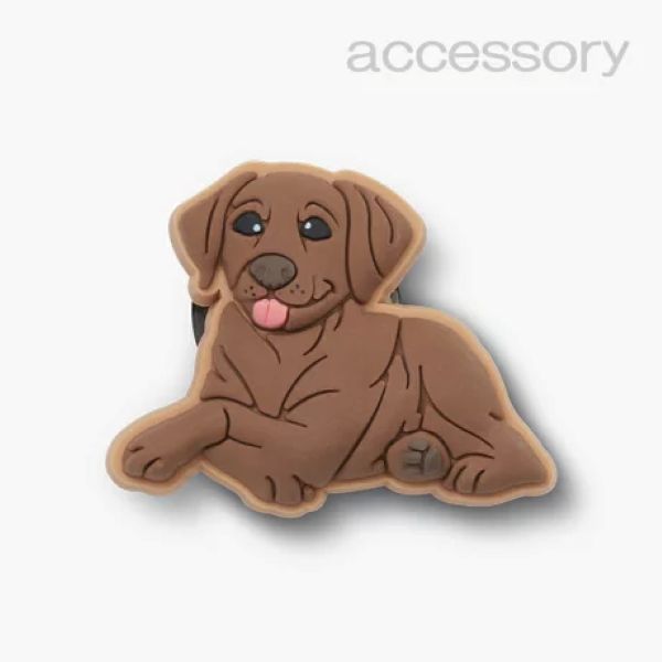 Brown Lab Puppy