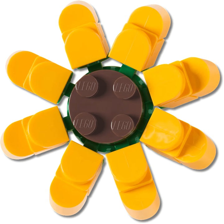 4LW Botanicals