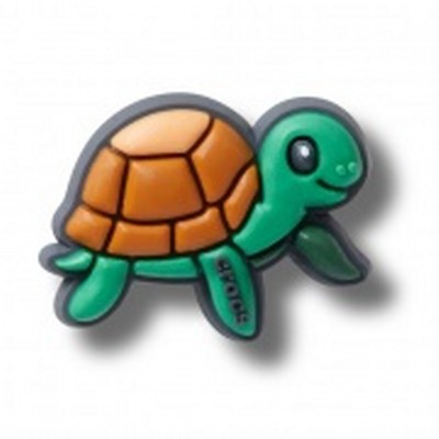 Pet Turtle