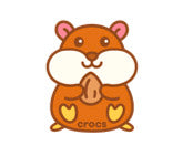 Pet Gerbil