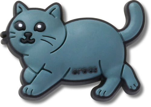 British Shorthair Cat