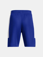 Under Armour Fiú UA Baseline Short kék