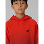 4F Boy's hoodie with all-over print gyerek kapucnis pulóver