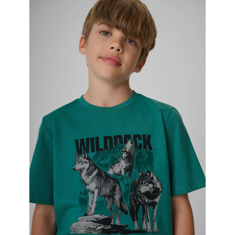 4F Boy's regular printed T-shirt gyerek póló 4FJKAW26TTSHM4455-46S