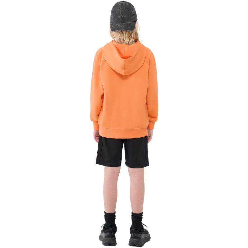 4f M1712 Jr Sweatshirt 4fjwss25tswsm1712 70s Kapucnis pulóver - Sportmania.hu