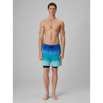 4F Men's boardshorts with UPF50+ sun protection férfi rövidnadrág