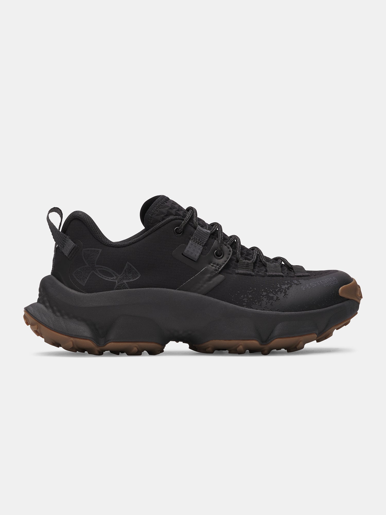 Nõi cipõ Under Armour UA W Charged Expanse Low WP