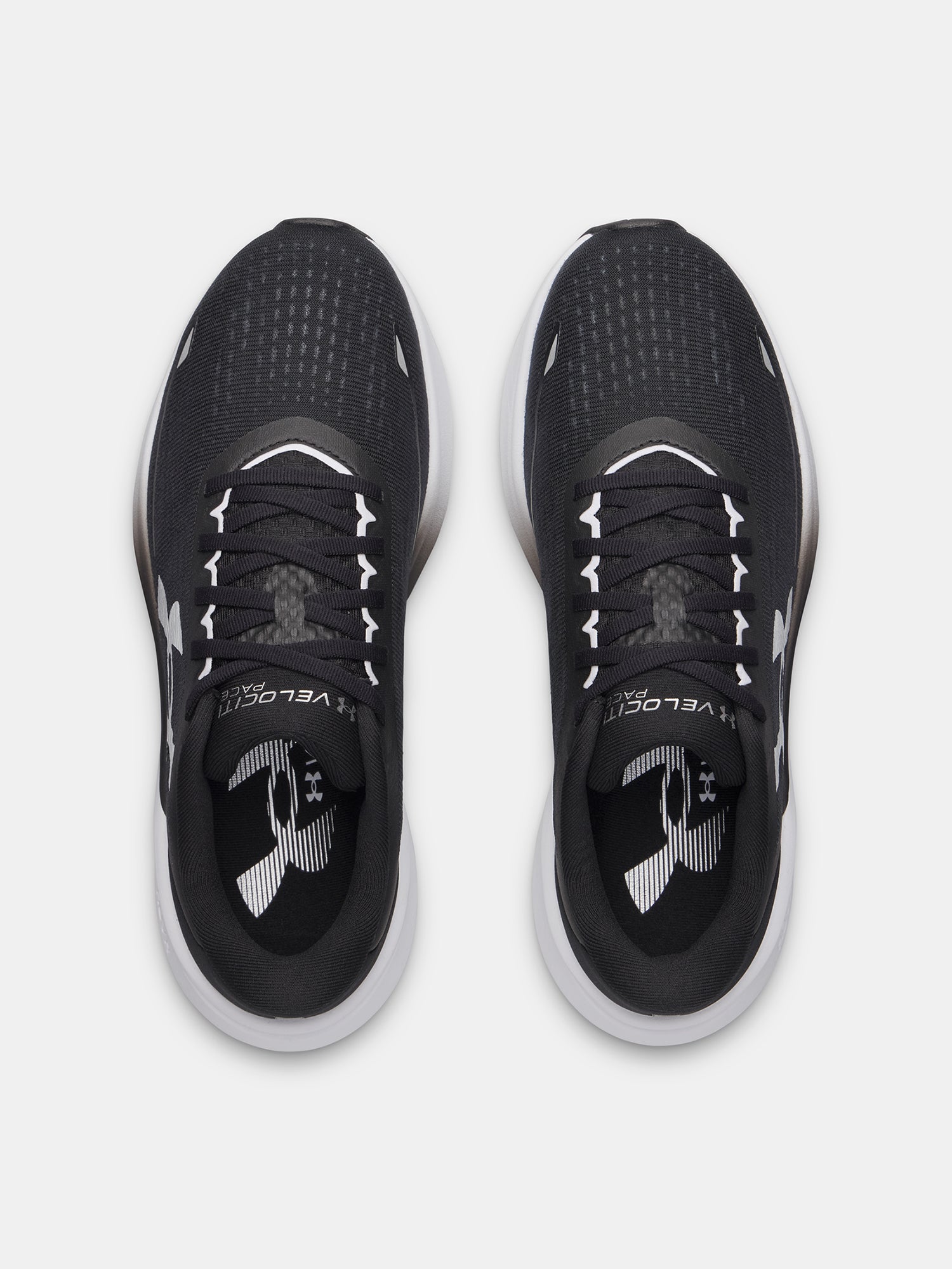 Férfi cipõk Under Armour UA Velociti Pace