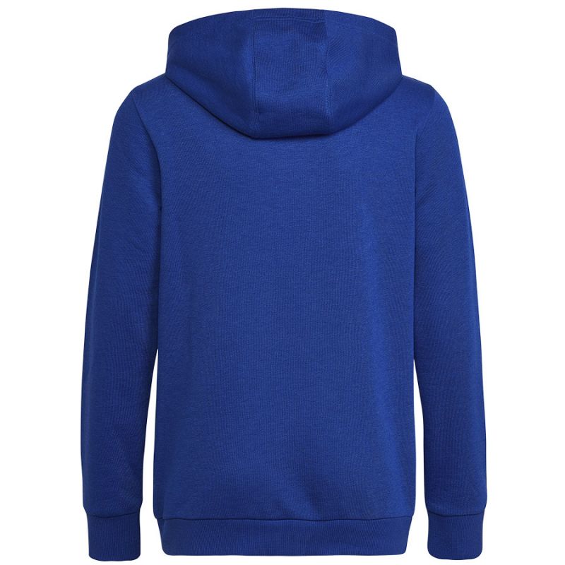 adidas adidas Big Logo Essentials Hoody Jr Pulóver gyerek HN1912