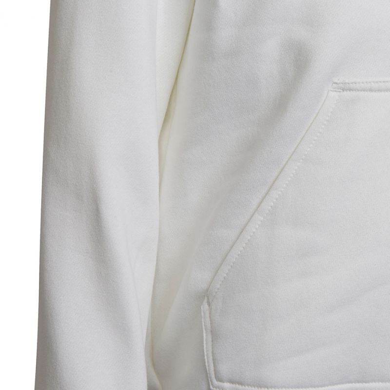 adidas adidas Entrada 22 Hoody Jr Póló Pulóver gyerek HG6303