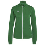 adidas adidas Entrada 22 Track Jacket W Póló Pulóver női HI2136