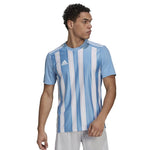 adidas adidas Striped 21 JSY Ruházat férfi póló GN5845