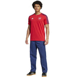 Adidas Arsenal London DNA férfi Póló IT4104