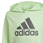 Adidas Big Logo Jr Pulóver gyerek IS2591