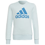 Adidas Big Logo Swt Jr sweatshirt gyerek pulóver HM8707