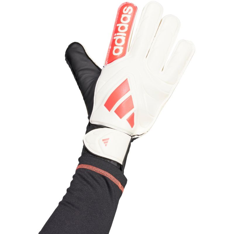 adidas Copa Club Goalkeeper M JH3789 goalkeeper gloves Kiegészítők - Sportmania.hu