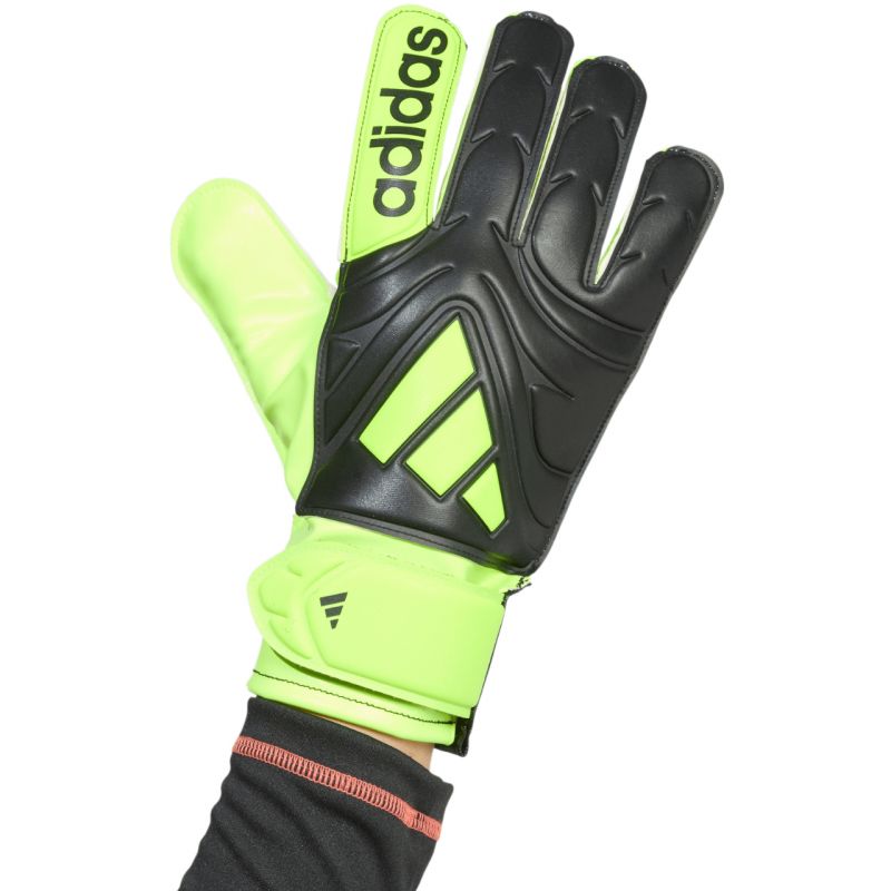 adidas Copa Club JN5340 Goalkeeper Gloves Kesztyű - Sportmania.hu