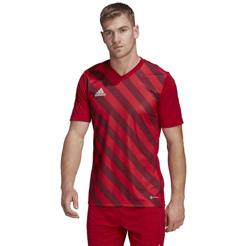 Adidas Entrada 22 Graphic Jersey férfi Póló HB0572