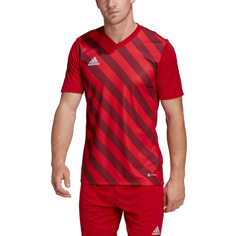 Adidas Entrada 22 Graphic Jersey férfi Póló HB0572