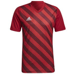 Adidas Entrada 22 Graphic Jersey férfi Póló HB0572