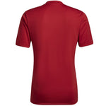 Adidas Entrada 22 Graphic Jersey férfi Póló HB0572