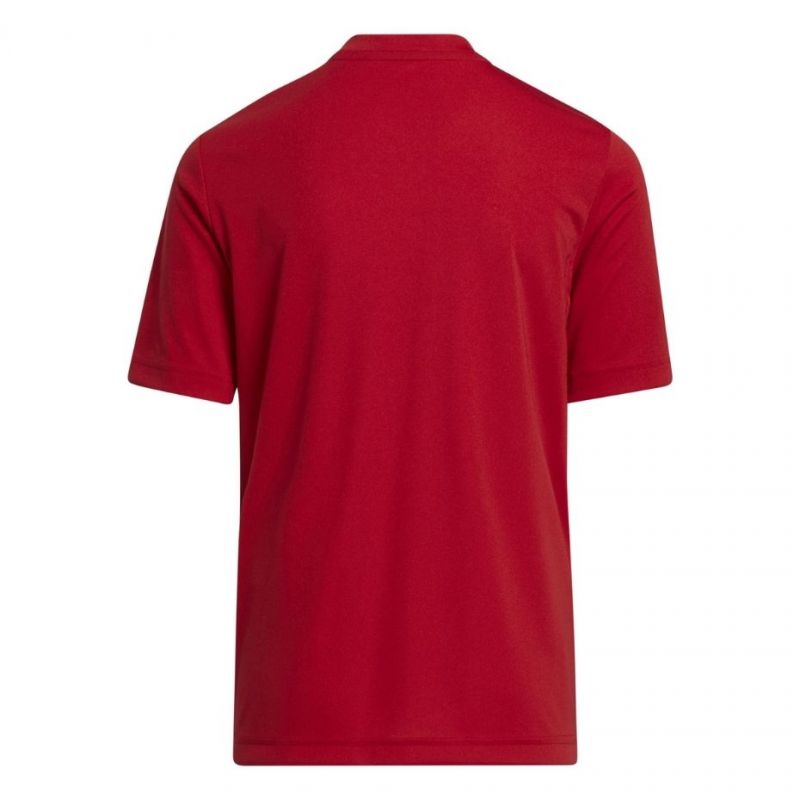 Kép alternatív szöveg