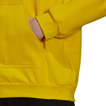 Adidas Entrada 22 Hoody Póló férfi Pulóver HI2140