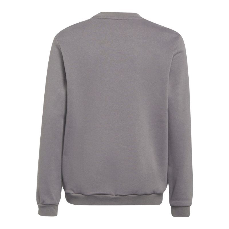 Adidas Entrada 22 Sweat Top Jr Póló Pulóver gyerek H57477