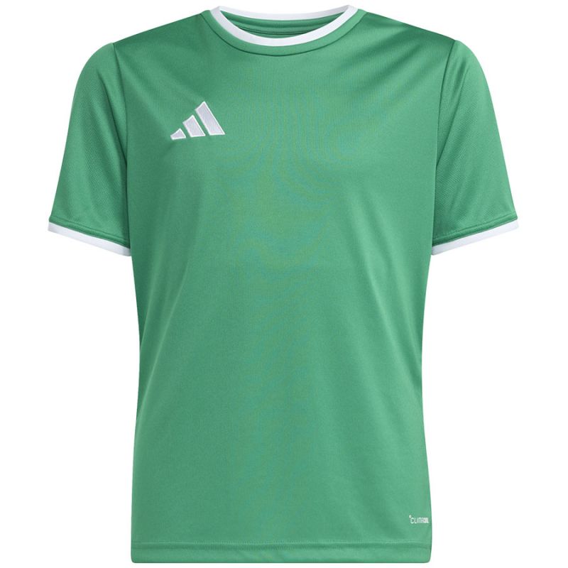adidas Entrada 26 Jersey green kids' t-shirt zöld futball mez JZ2528