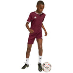 adidas Entrada 26 Jersey kids' T-shirt JZ2530 bordó gyerek póló