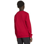 adidas Entrada 26 Sweat Top piros gyerek pulóver JZ6556