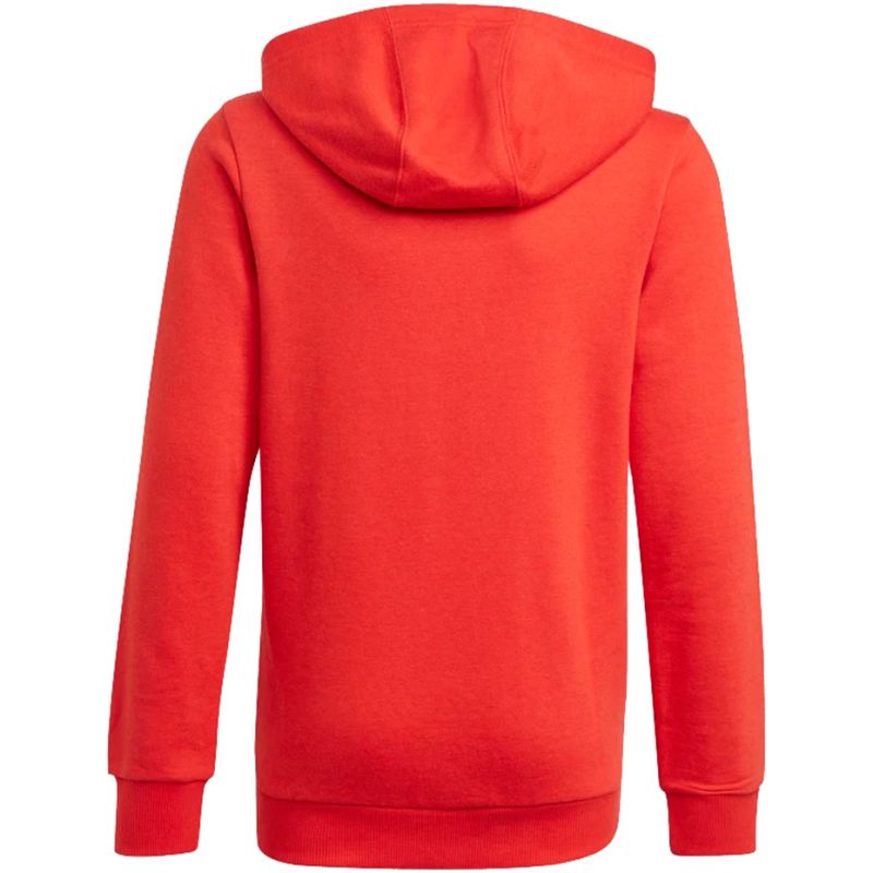 Adidas Essentials Big Logo Hoodie Jr GN4037 Kapucnis pulóver - Sportmania.hu