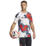 adidas FC Bayern Pre-Match JSY M T-shirt férfi Póló JE6776