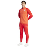 adidas FC Bayern Training Panty férfi Nadrág IQ0605