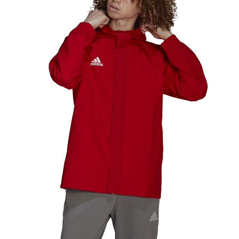 Kép alternatív szöveg