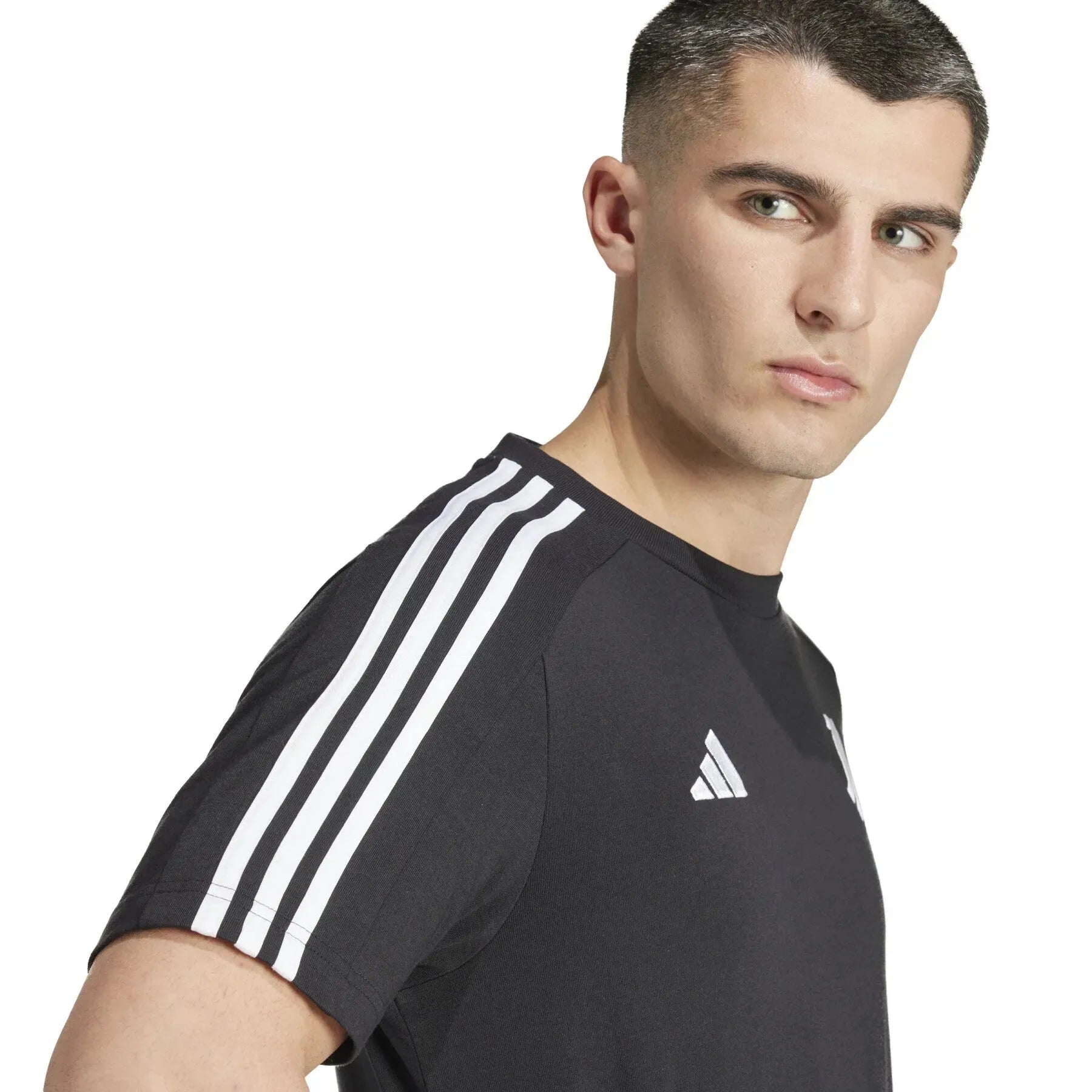 Kép alternatív szöveg