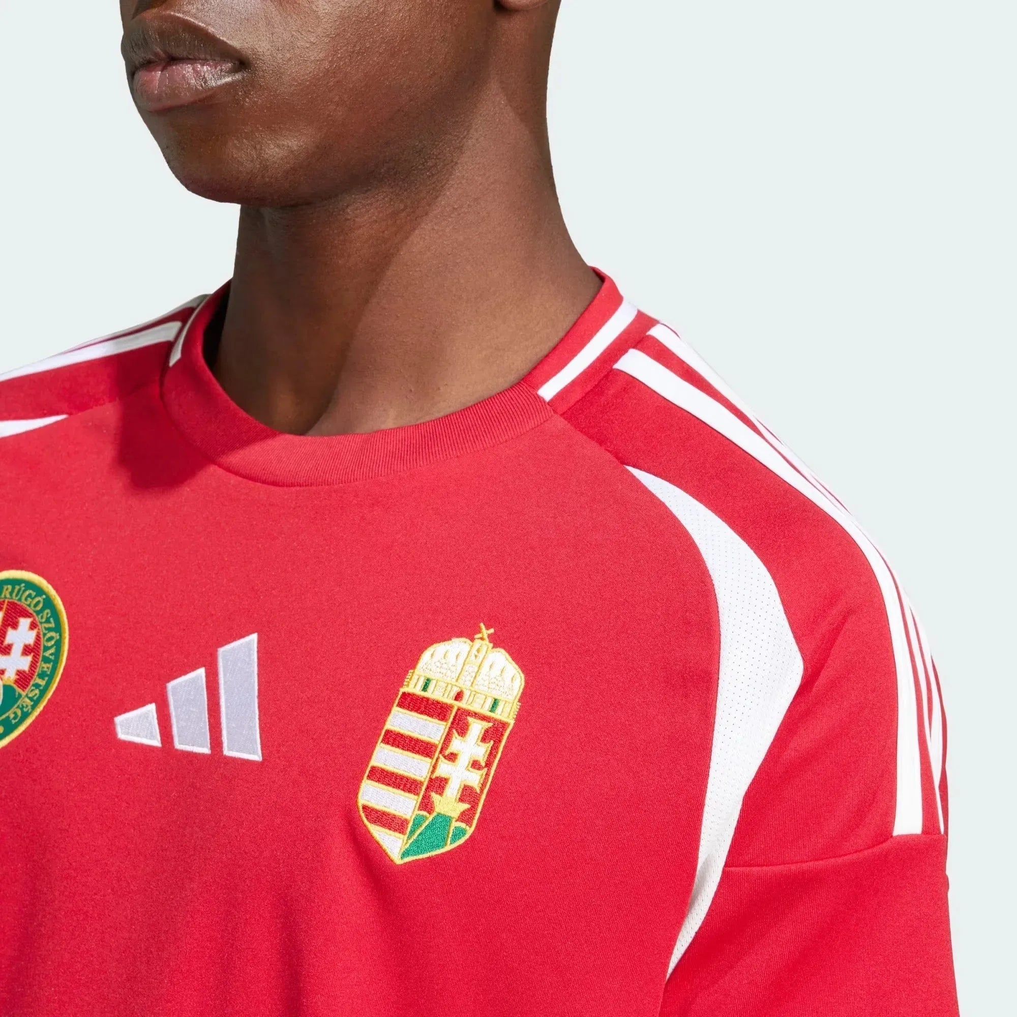 Kép alternatív szöveg