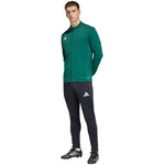 Men's adidas Entrada 26 Track sweatshirt zöld férfi pulóver KE9835