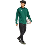 Men's adidas Entrada 26 Training Top green zöld férfi pulóver KE9823