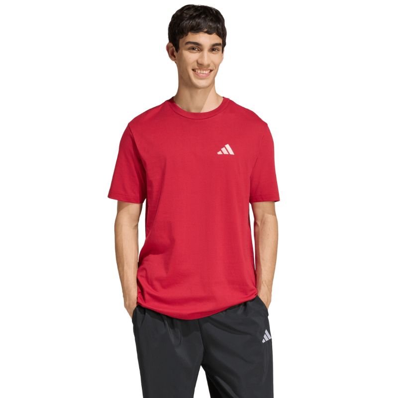 adidas Outdoor Mountain Biking Graphic Men's T-Shirt Red piros férfi póló KB2538