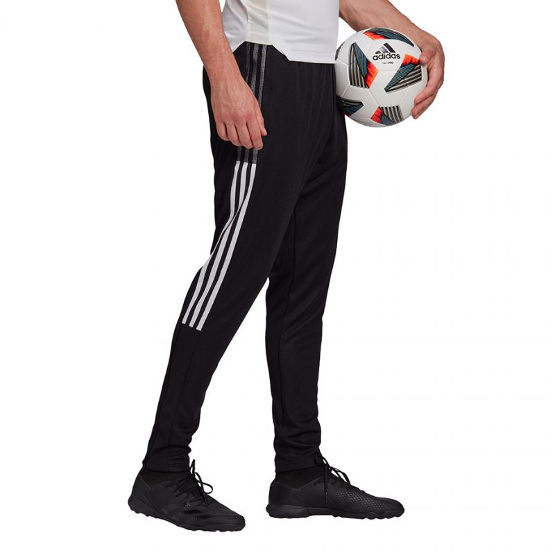 Kép alternatív szöveg