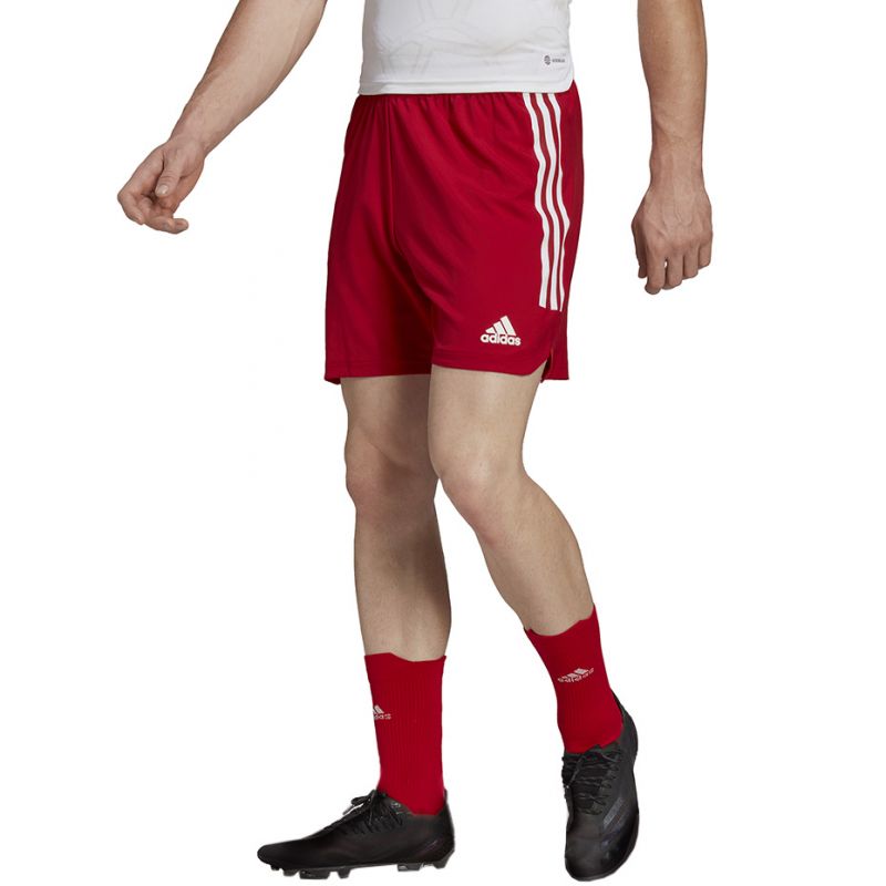 Kép alternatív szöveg