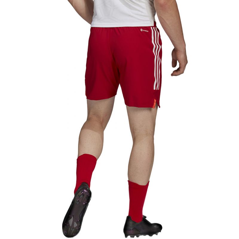 Kép alternatív szöveg