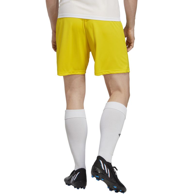 adidas Shorts adidas Entrada 22 Ruházat Nadrág férfi IC7404