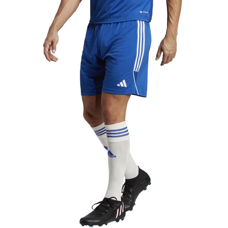Kép alternatív szöveg