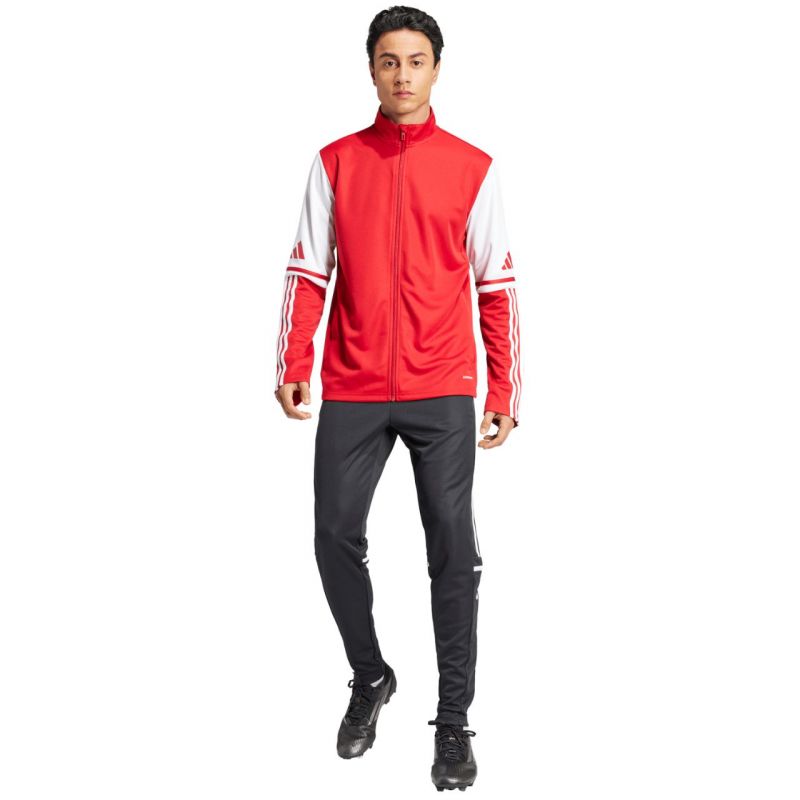 Adidas Squadra 25 Training M sweatshirt JD2979 Pulóver - Sportmania.hu
