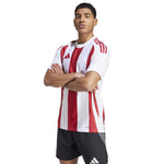 Adidas Striped 24 JSY M T-shirt IW2142 Póló - Sportmania.hu