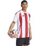 Adidas Striped 24 JSY T-shirt férfi Póló IW2142