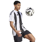 Adidas Striped 24 JSY T-shirt férfi Póló IW2143